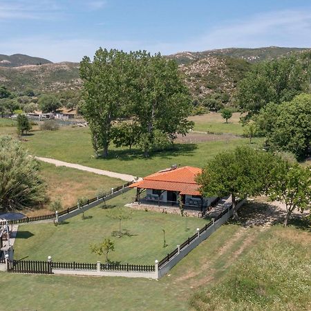 Appartamento Exochiko Kalamitsi Esterno foto