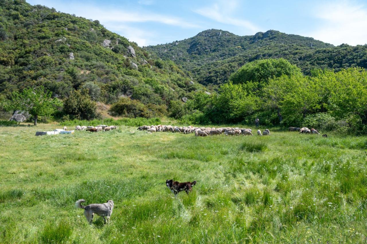 Appartamento Exochiko Kalamitsi Esterno foto